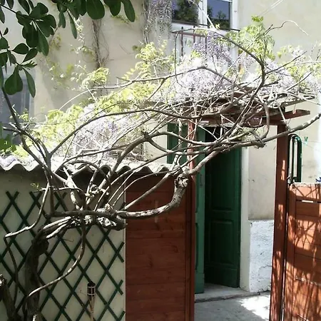 Il Glicine Appartement *