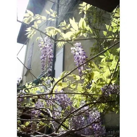 Διαμέρισμα Il Glicine