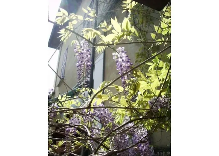 Appartement Il Glicine